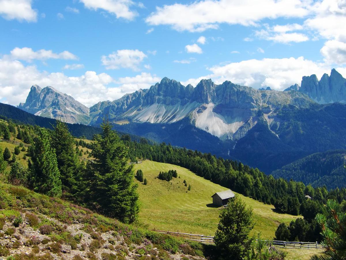 *** Hotel Alpenhof KG d. Gasser Renate Bressanone Eksteriør billede