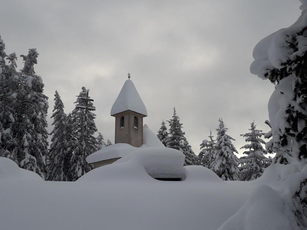 *** Hotel Alpenhof KG d. Gasser Renate Bressanone Eksteriør billede
