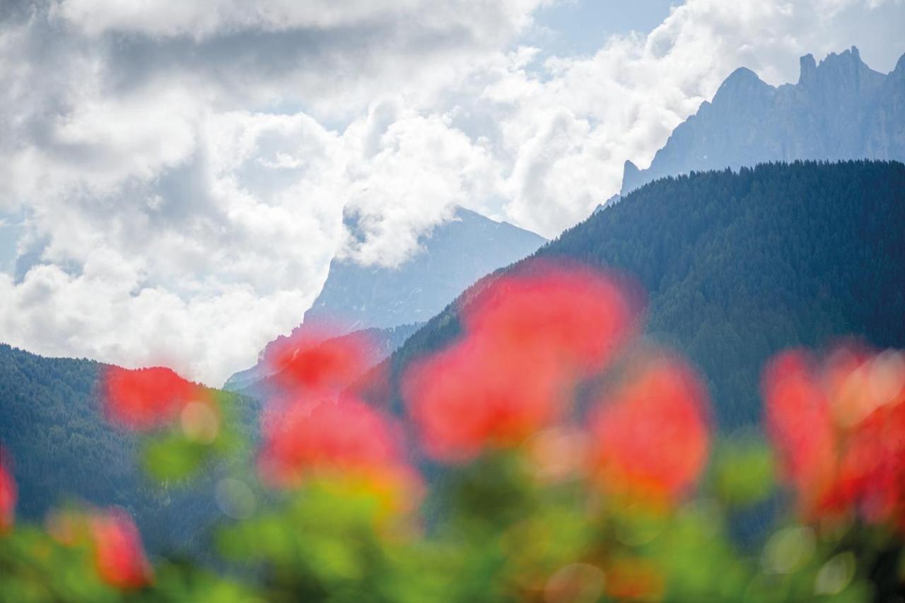 *** Hotel Alpenhof KG d. Gasser Renate Bressanone Eksteriør billede